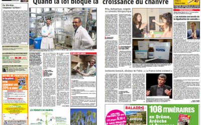 Quand la loi bloque la croissance du chanvre