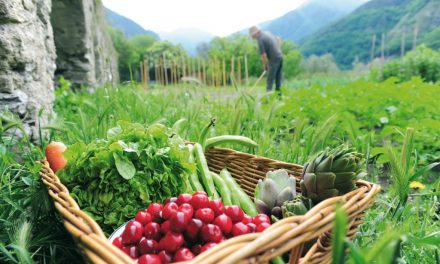 Loi Agriculture et Alimentation : Pour une alimentation saine et durable