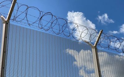 Calais : deux sénateurs appellent à étendre la protection temporaire au-delà des Ukrainiens