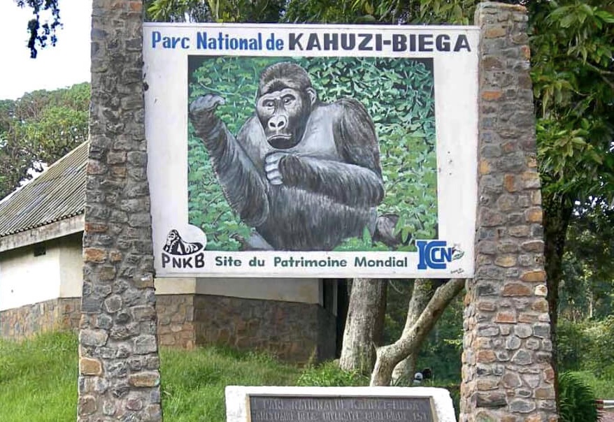 Une petite victoire pour les populations autochtones du Parc national de Kahuzi-Biega au Congo