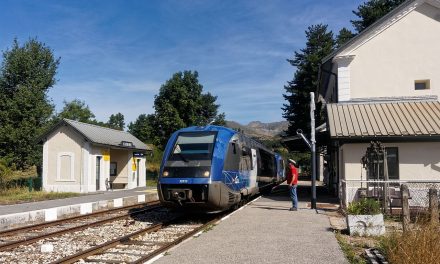 Ligne Grenoble-Gap : notre interpellation à la Région