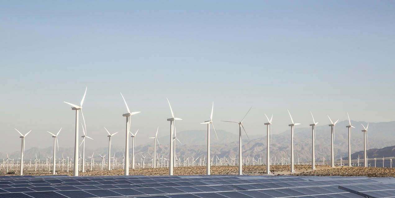 Loi d’accélération des énergies renouvelables : les avancées du groupe écologiste
