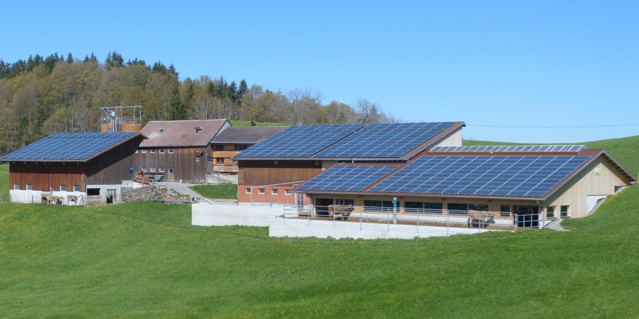 Critères environnementaux pour les achats de panneaux solaires : une victoire pour l’industrie française !