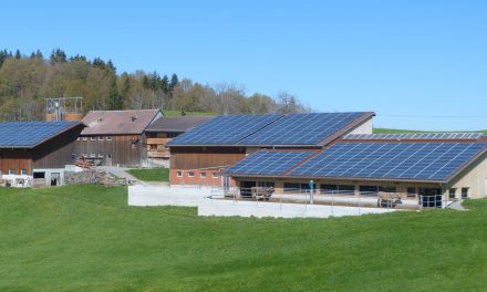 Critères environnementaux pour les achats de panneaux solaires : une victoire pour l’industrie française !