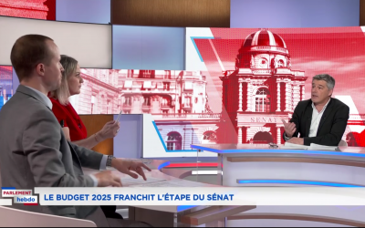 Budget et reconstruction de Mayotte : débat avec Gaëtan Dussausaye (RN) sur Public Sénat