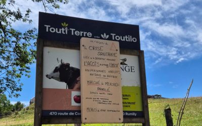 Dermatose Nodulaire Contagieuse Bovine : pour un vrai plan d’action face à l’épidémie !