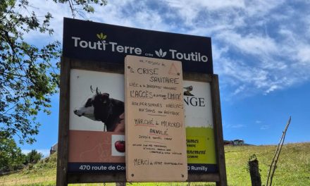 Dermatose Nodulaire Contagieuse Bovine : pour un vrai plan d’action face à l’épidémie !