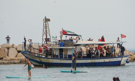 Protégeons la flottille de la liberté pour Gaza !