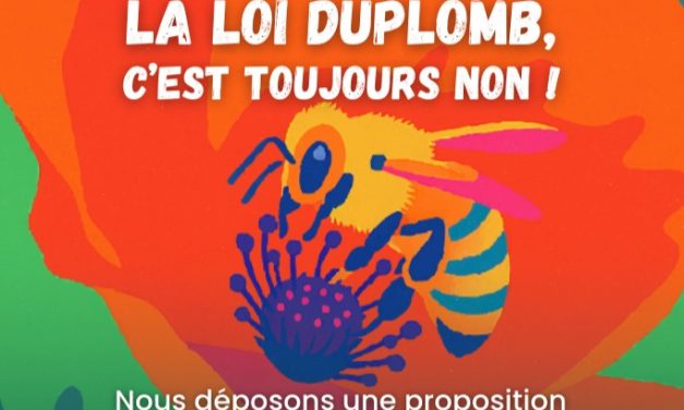 Loi Duplomb : après une pétition historique, abrogeons la loi pro-pesticides !