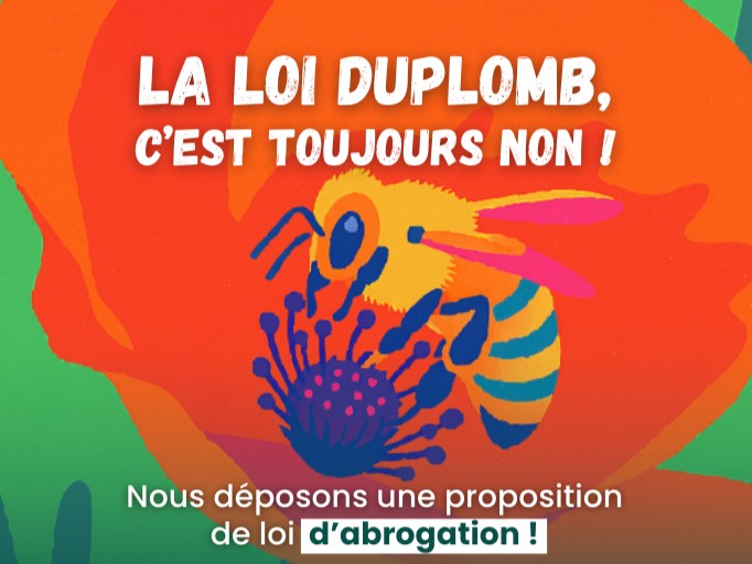 Loi Duplomb : après une pétition historique, abrogeons la loi pro-pesticides !