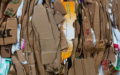 Réemploi du carton : reculer sur nos objectifs est une grave erreur !