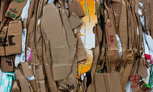 Réemploi du carton : reculer sur nos objectifs est une grave erreur !