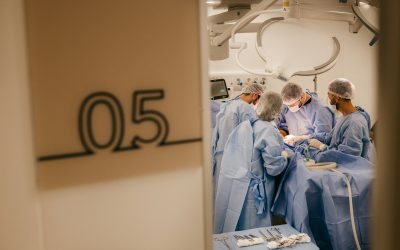 Budget de la Sécu pour 2026 : pourquoi les écologistes se sont abstenus