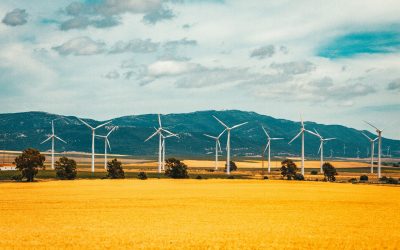 Programmation pluriannuelle de l’énergie : un soutien trop timide aux énergies renouvelables