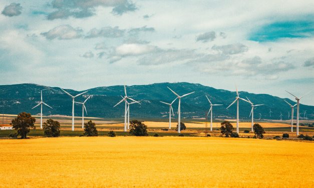 Programmation pluriannuelle de l&rsquo;énergie : un soutien trop timide aux énergies renouvelables