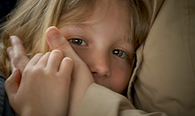 Aide sociale à l&rsquo;enfance : lancement d&rsquo;une mission d&rsquo;information avec les élues du département