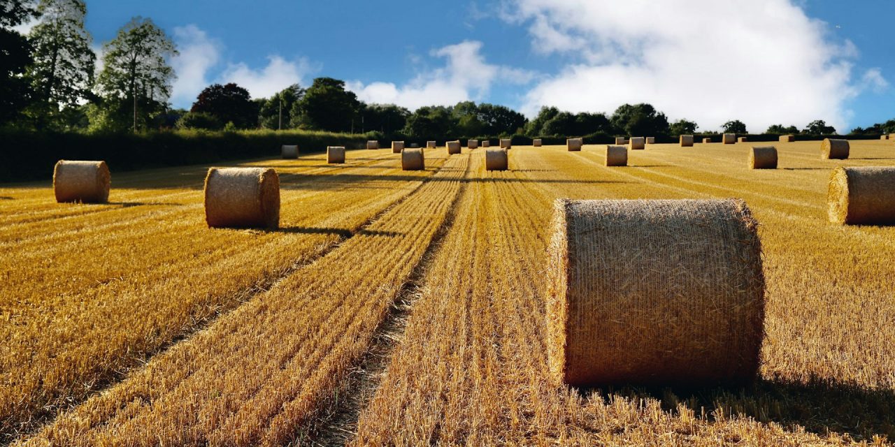 Loi d&rsquo;urgence agricole : les vrais problèmes des agriculteurs toujours ignorés !