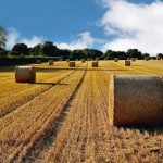 Loi d&rsquo;urgence agricole : les vrais problèmes des agriculteurs toujours ignorés !