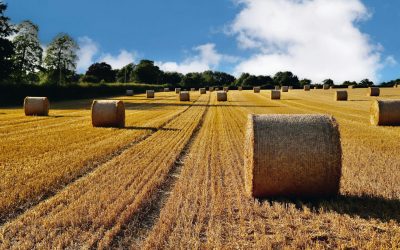 Loi d’urgence agricole : les vrais problèmes des agriculteurs toujours ignorés !