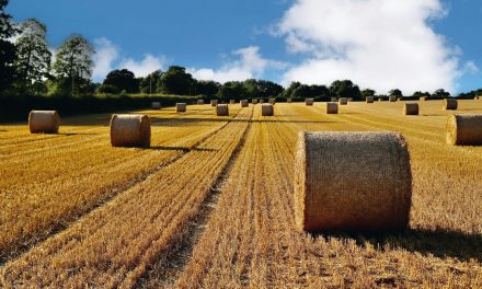 Loi d&rsquo;urgence agricole : les vrais problèmes des agriculteurs toujours ignorés !
