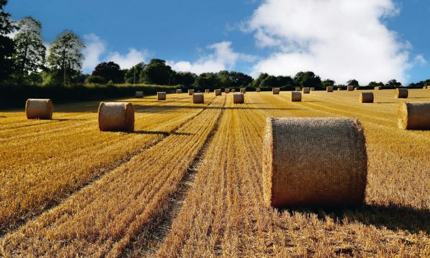 Loi d&rsquo;urgence agricole : les vrais problèmes des agriculteurs toujours ignorés !