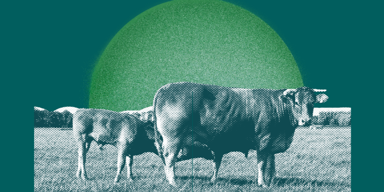 Epizooties : nos propositions pour lutter contre les épidémies animales