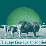 Epizooties : nos propositions pour lutter contre les épidémies animales
