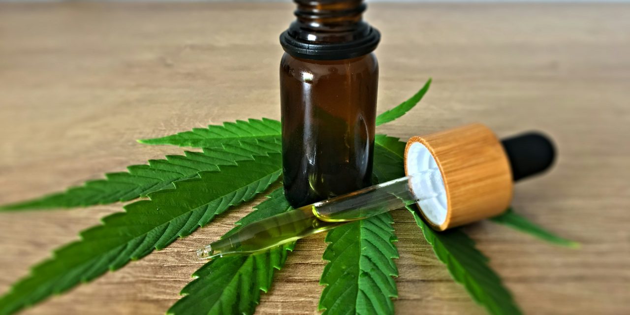CBD : ma proposition de loi pour un cadre juridique clair