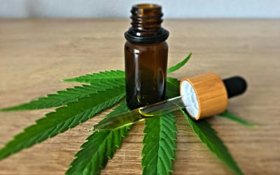 CBD : ma proposition de loi pour un cadre juridique clair
